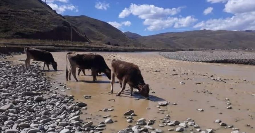 Puno | Dirección Regional de Energía y Minas confirma contaminación del río Ramis.