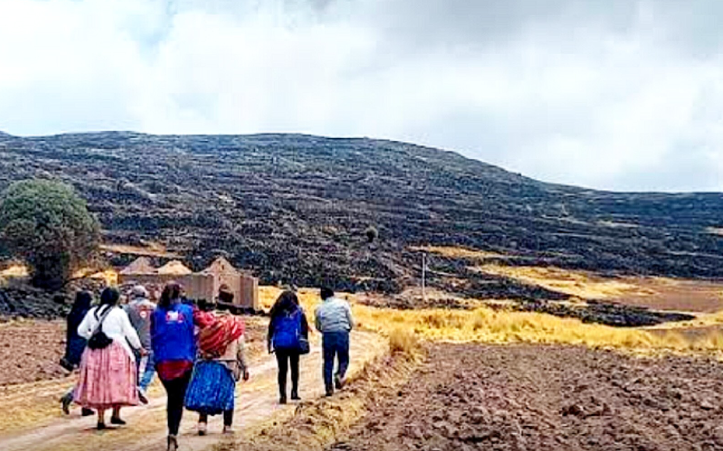 Lampa | Comunidades rechazan inicio de exploración del proyecto minero Pucarini