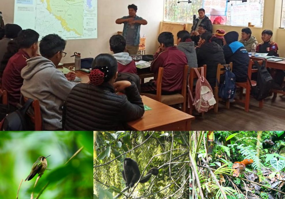 Puno | Más de 330 especies protegidas: GRAA impulsa talleres sobre el ACR selva verde en Carabaya y Sandia
