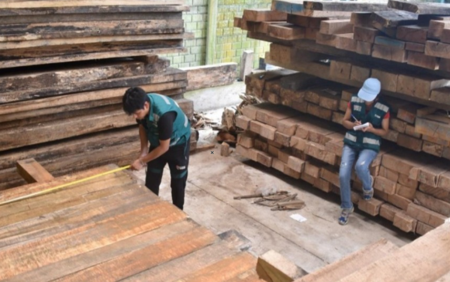 Juliaca | Dictan sentencia a ciudadano por tráfico ilegal de madera en San Gabán