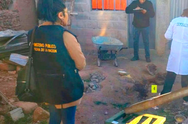 Puno | Fiscalía investiga presunta agresión que dejó a mujer con graves lesiones en Chucuito