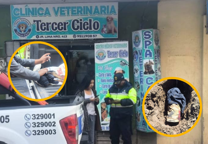 Juliaca | Vecinos auxiliaron a perrito herido tras accidente en la avenida Héroes del Pacífico