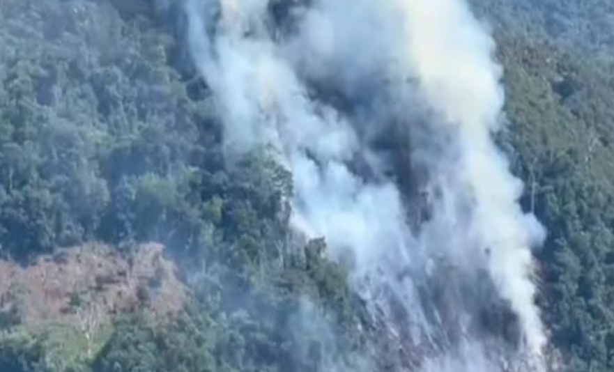 Carabaya | Voraz incendio forestal devora bosques en San Gabán y preocupa a la población